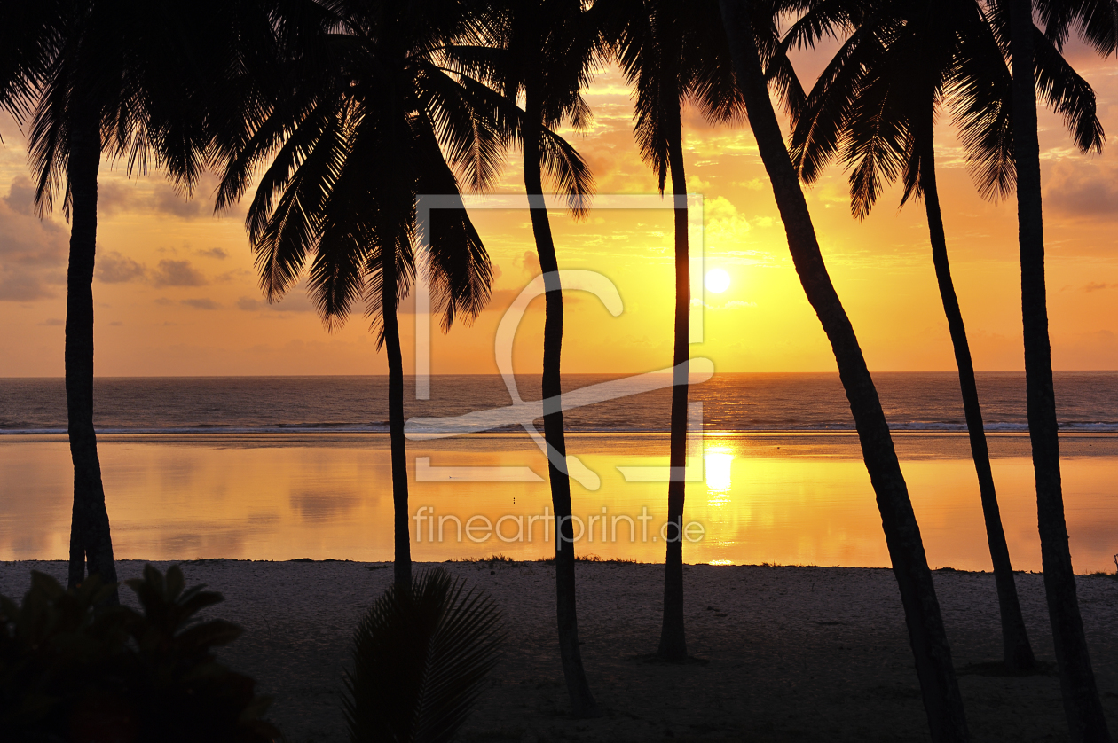 Bild-Nr.: 11203454 Sonnenuntergang am verträumten Strand mit Palmen erstellt von KundenNr-160338