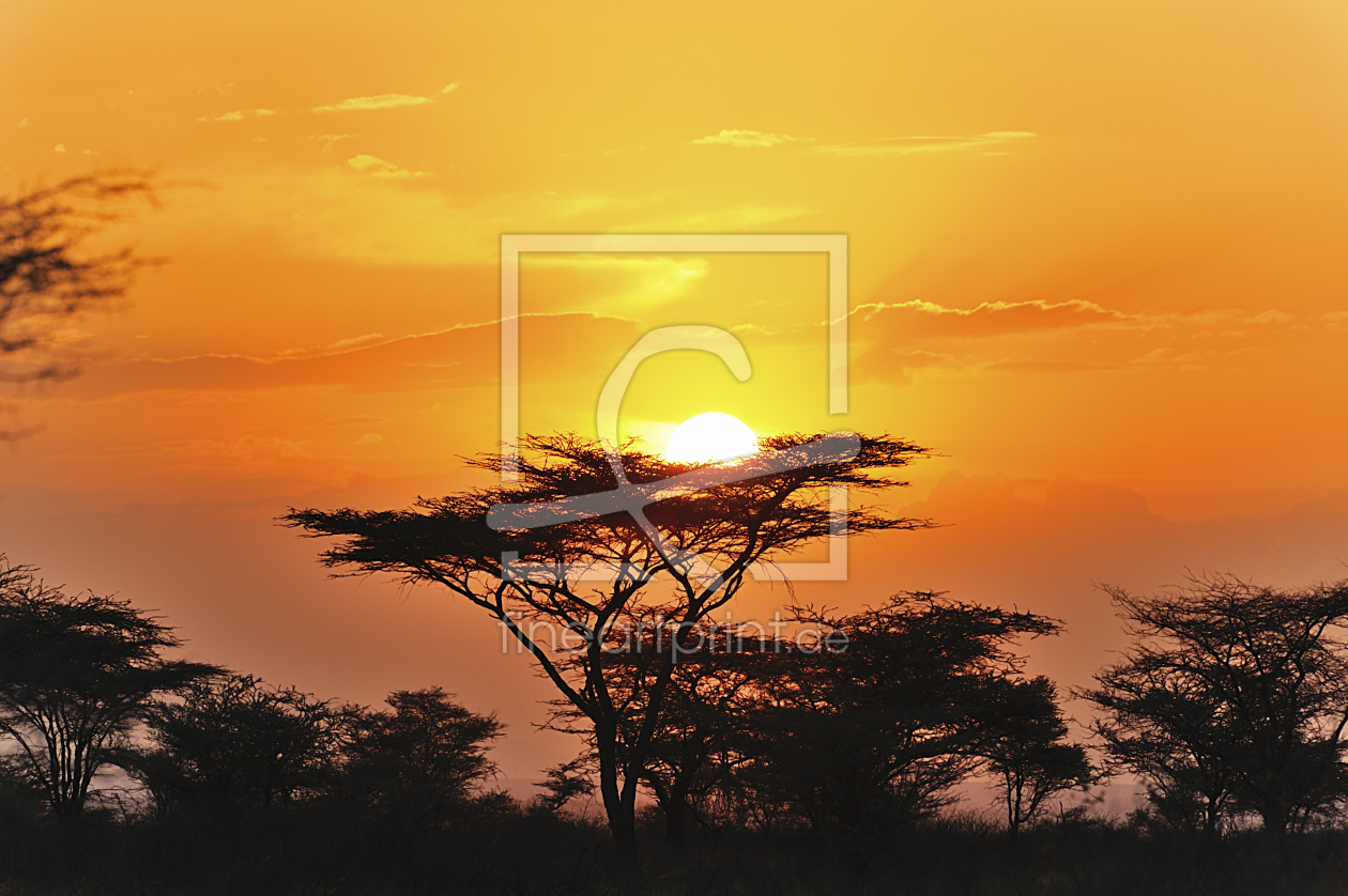 Bild-Nr.: 11204526 Sonnenuntergang Afrika erstellt von KundenNr-160338