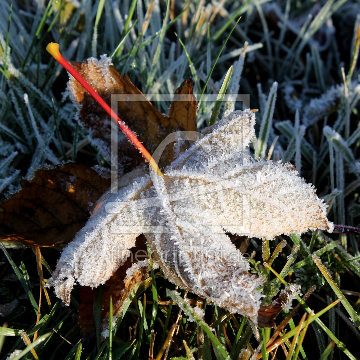 Bild-Nr.: 11209286 noch einbisschen Schnee erstellt von margoscha08