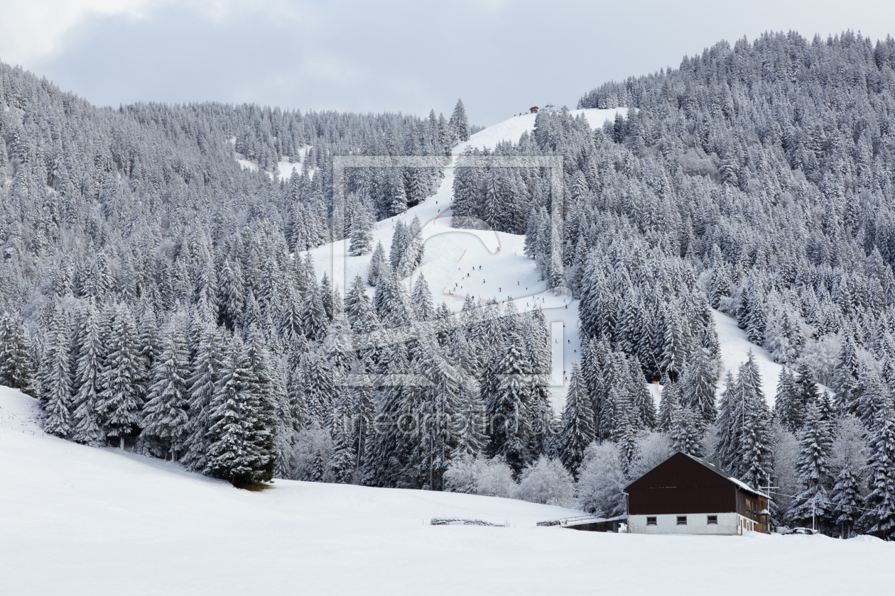 Bild-Nr.: 11209930 Grasgehren im Allgäuer Winter erstellt von TomKli