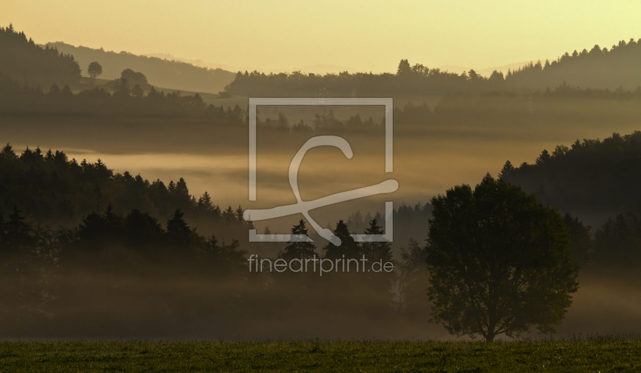 Bild-Nr.: 11210676 Morgennebel erstellt von Fotostyler