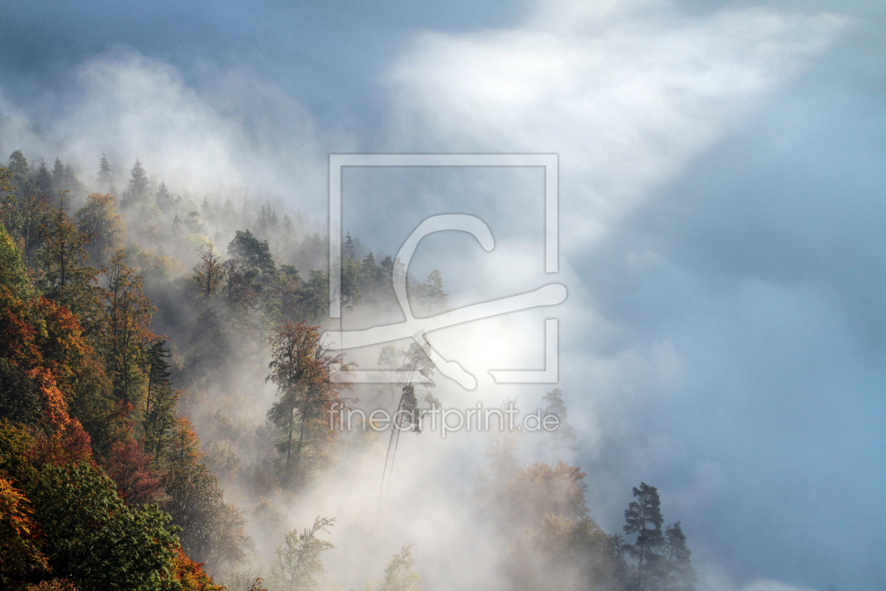 Bild-Nr.: 11210692 Nebelwald erstellt von Fotostyler