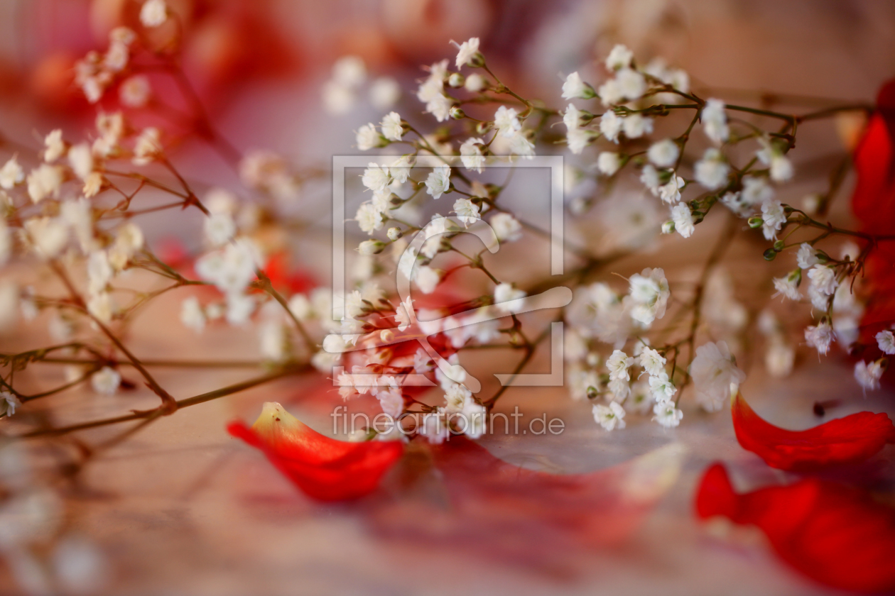 Bild-Nr.: 11213018 Zarte Blumengrüße erstellt von Renate Knapp