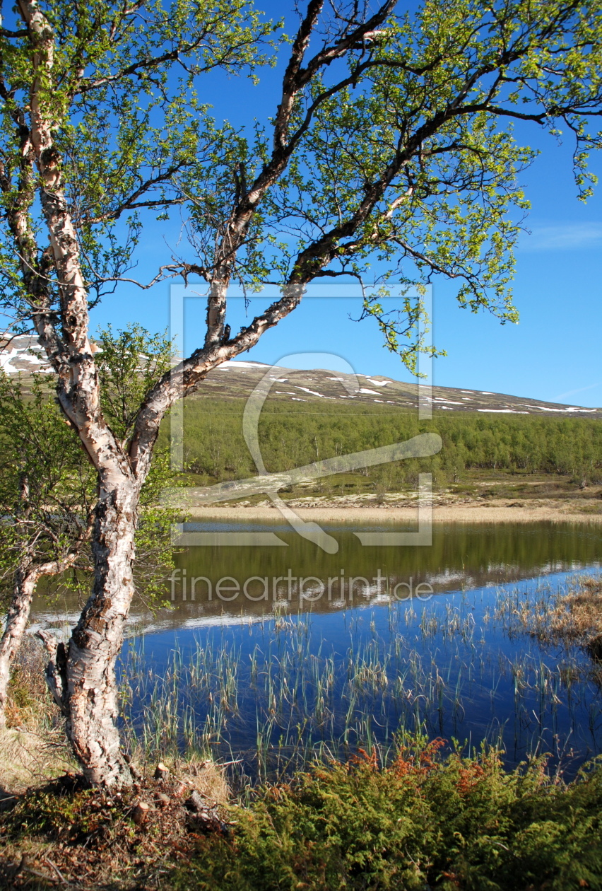 Bild-Nr.: 11214712 Dovrefjell erstellt von GUGIGEI