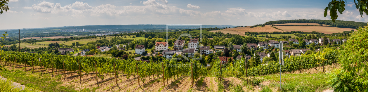 Bild-Nr.: 11214780 WI-Frauenstein erstellt von Erhard Hess