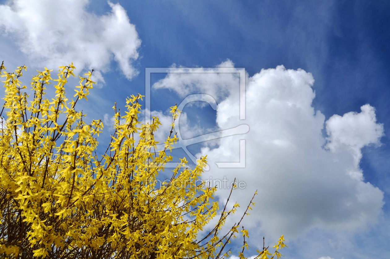 Bild-Nr.: 11215880 Frühling läßt seine Farben spielen  erstellt von Ostfriese
