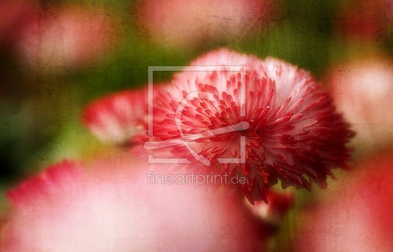Bild-Nr.: 11221850 Blütenwelt erstellt von youhaveadream