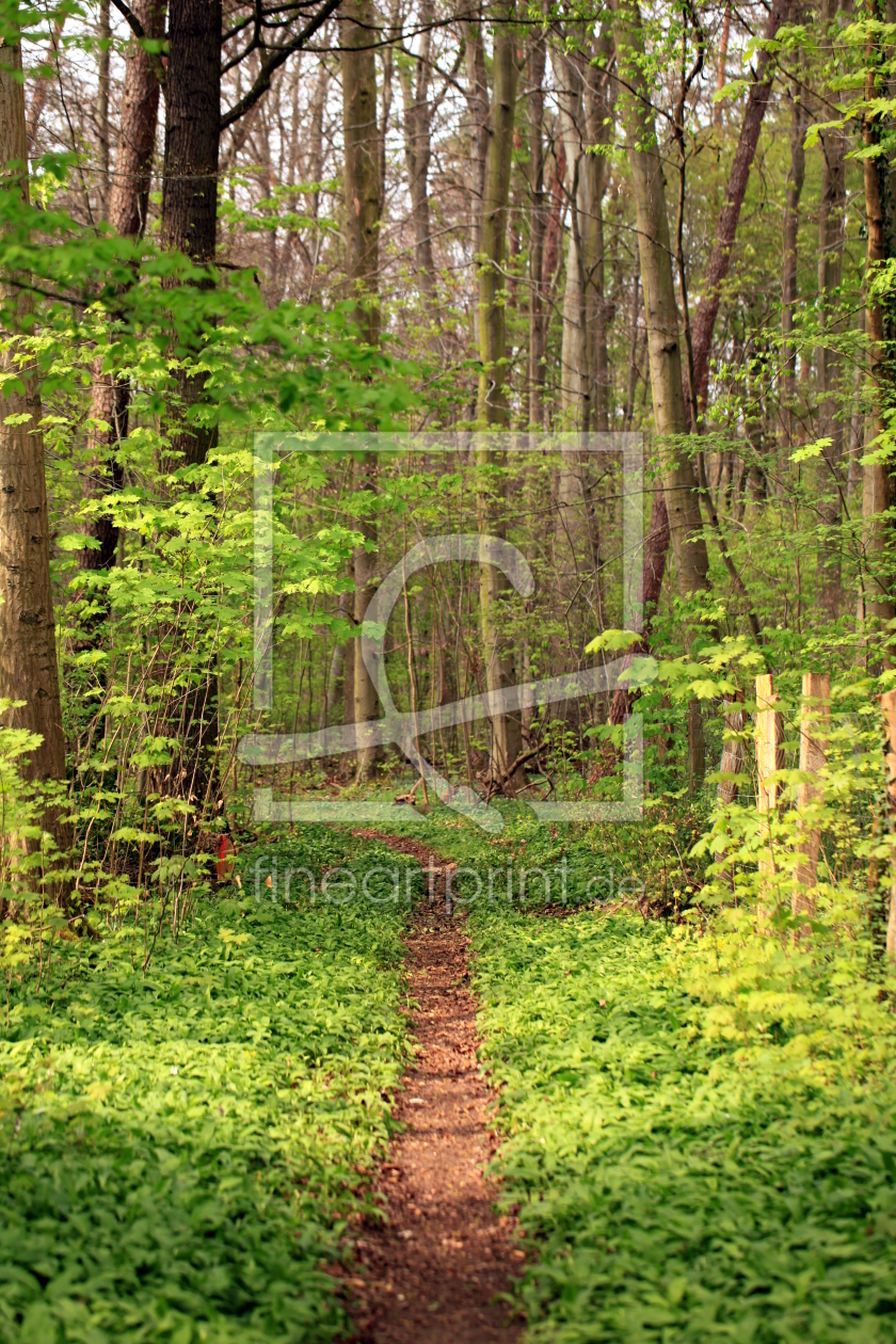 Bild-Nr.: 11223952 Wald und Wiesen erstellt von Renate Knapp