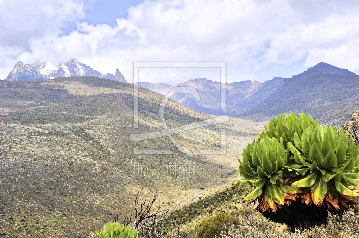 Bild-Nr.: 11224320 Tal am Mount Kenia mit Senezie erstellt von KundenNr-160338