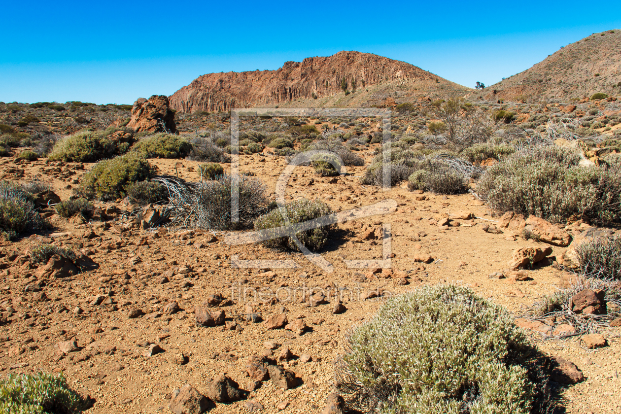 Bild-Nr.: 11227610 Las Canadas, La Fortaleza, Teneriffa, Spanien erstellt von manza