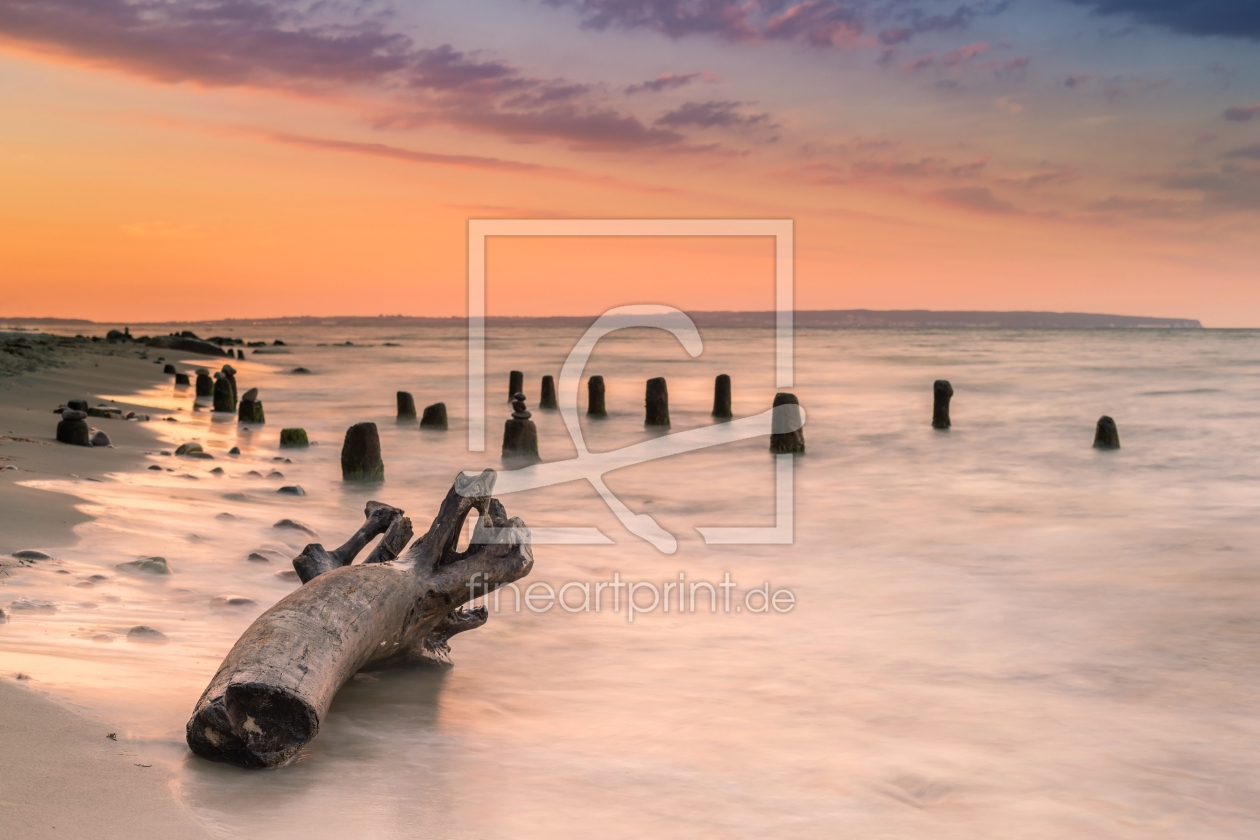 Bild-Nr.: 11233686 Totholz am Strand erstellt von HeschFoto