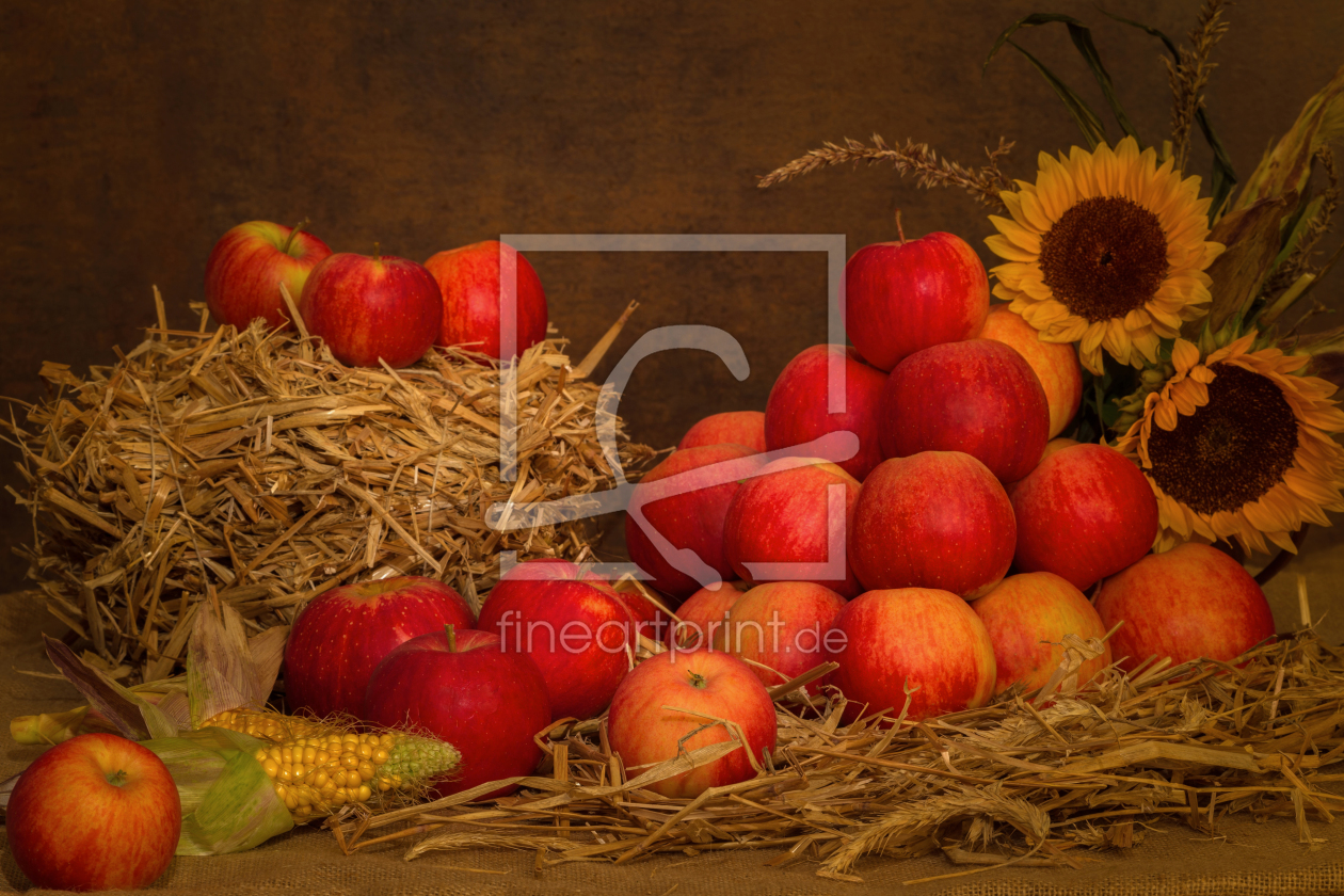 Bild-Nr.: 11233908 Stillleben im Herbst erstellt von HeschFoto