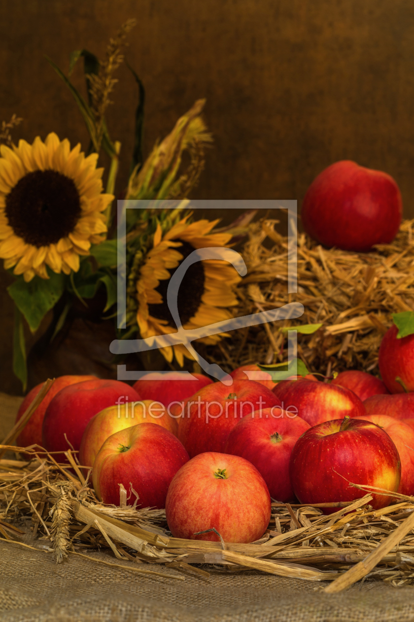 Bild-Nr.: 11233914 Stillleben im Herbst II erstellt von HeschFoto