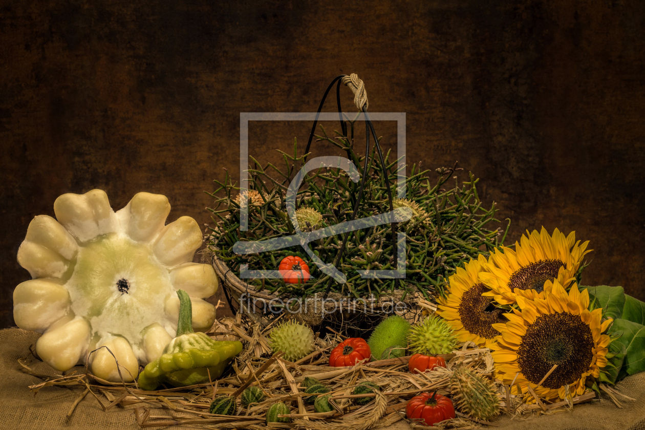 Bild-Nr.: 11234052 Herbstlich III erstellt von HeschFoto