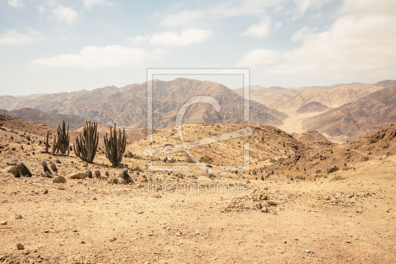 Bild-Nr.: 11235702 Wüste und Kaktus erstellt von AlejandroMCB