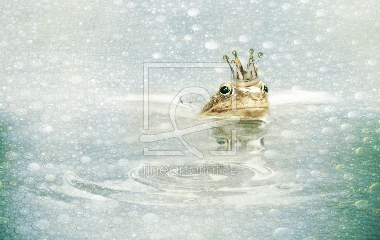 Bild-Nr.: 11239354 Der Froschkönig im Schneeregen erstellt von Heike Hultsch