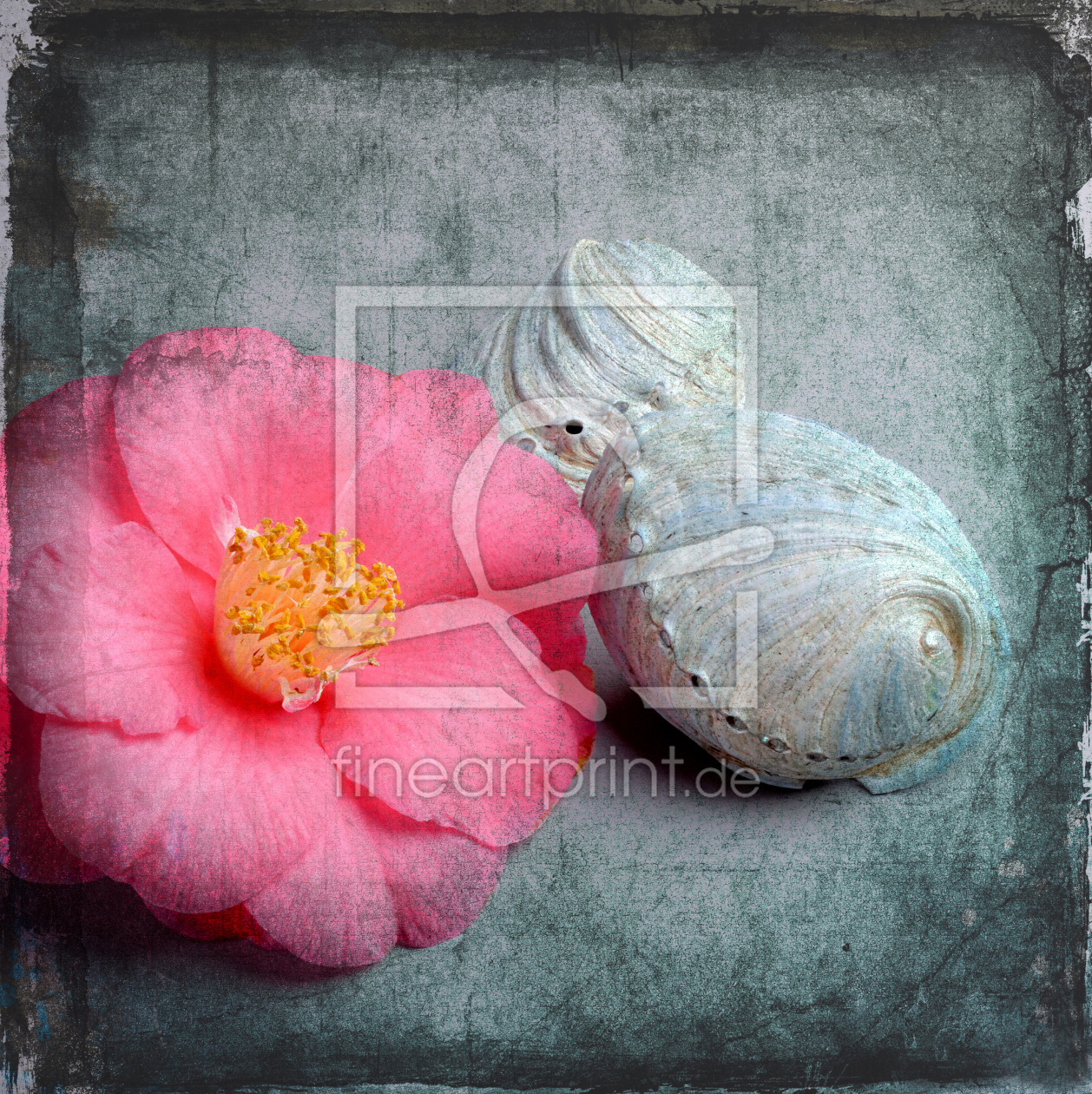 Bild-Nr.: 11245224 Camellia erstellt von Rolf Eschbach
