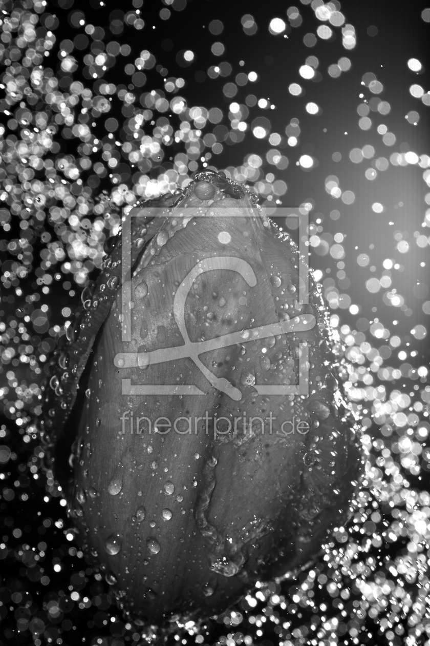 Bild-Nr.: 11245344 black rain Bild-Nr.: 11245344 black rain erstellt von Richard-Young