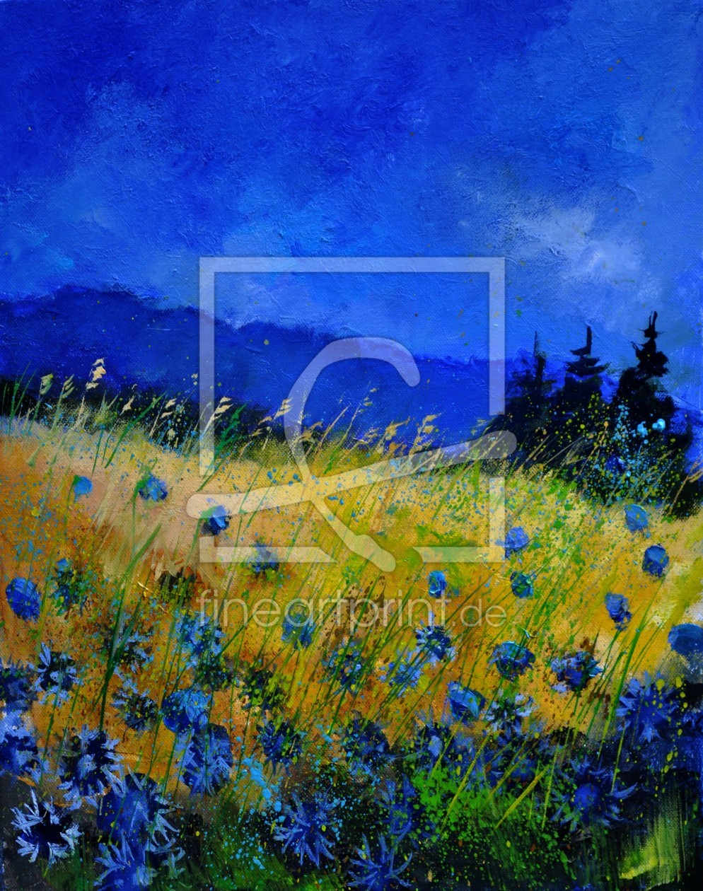Bild-Nr.: 11245432 blue cornflowers erstellt von Pol Ledent