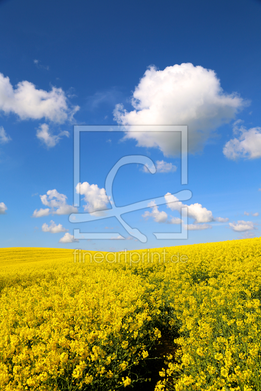 Bild-Nr.: 11247568 Schleswig - Holstein Wolken erstellt von Ursula Reins