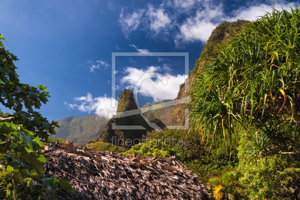 Bild-Nr.: 11247856 Iao Valley State Park erstellt von TomKli