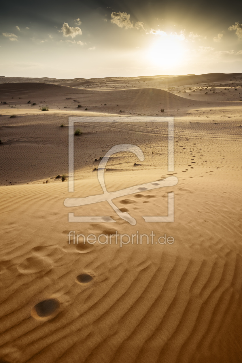 Bild-Nr.: 11250040 Spuren Wüste Wahiba Oman erstellt von Wolfgang Zwanzger