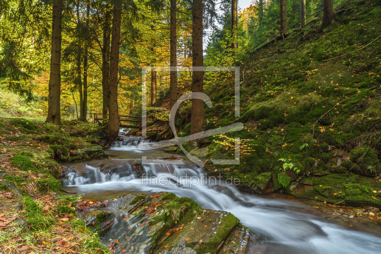 Bild-Nr.: 11251522 Wildbach erstellt von HeschFoto