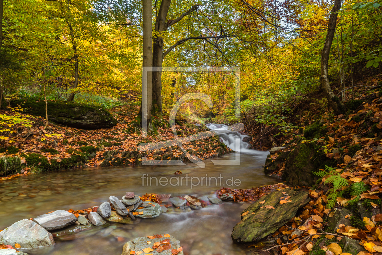 Bild-Nr.: 11251530 Wildbach II erstellt von HeschFoto