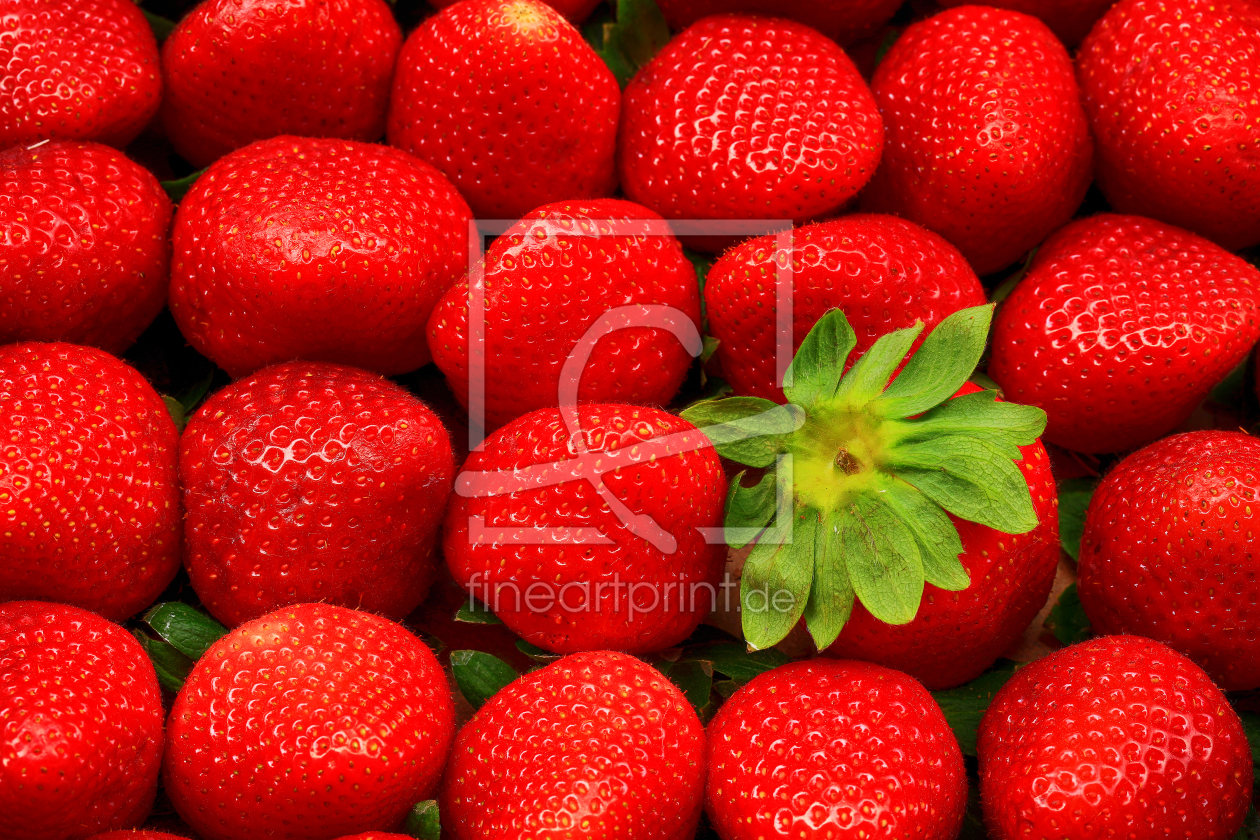 Bild-Nr.: 11252272 Erdbeeren erstellt von Thomas Herzog