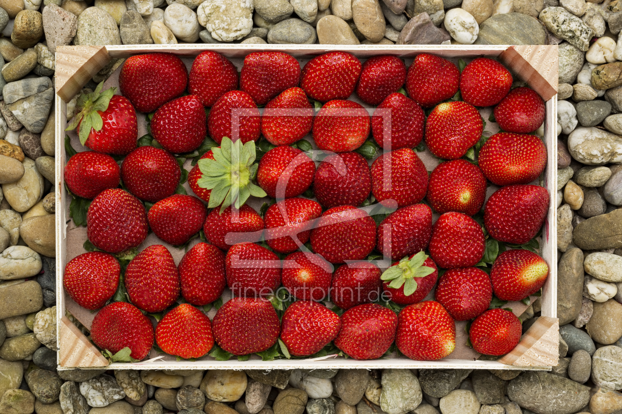 Bild-Nr.: 11252906 Strawberries erstellt von Thomas Herzog