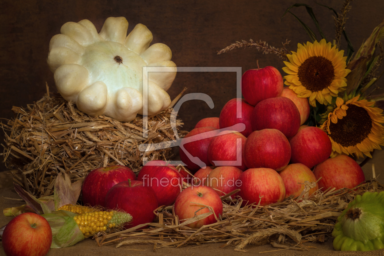 Bild-Nr.: 11258134 Erntezeit IV erstellt von HeschFoto