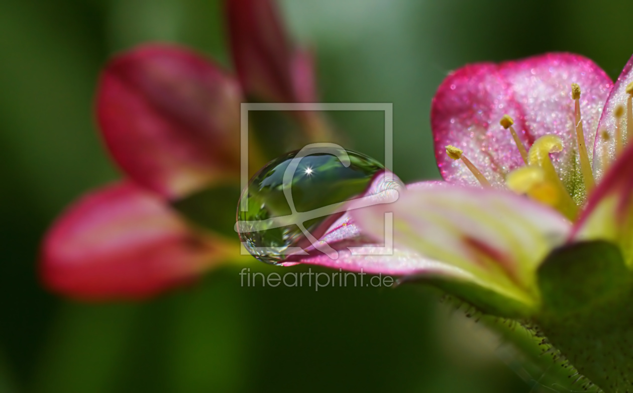 Bild-Nr.: 11259110 Droplet erstellt von youhaveadream