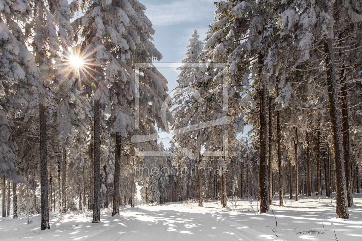 Bild-Nr.: 11263180 Winterwald erstellt von HeschFoto