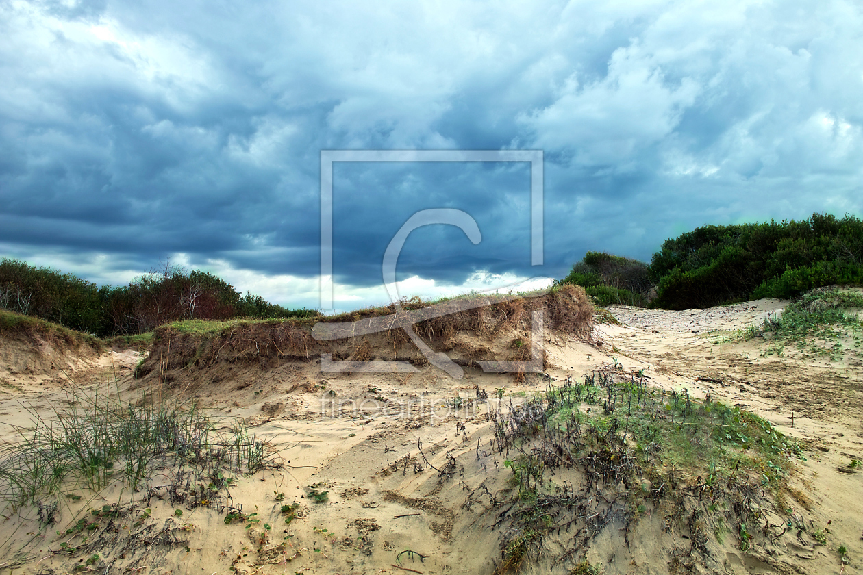 Bild-Nr.: 11266064 in den Dünen erstellt von Gisie