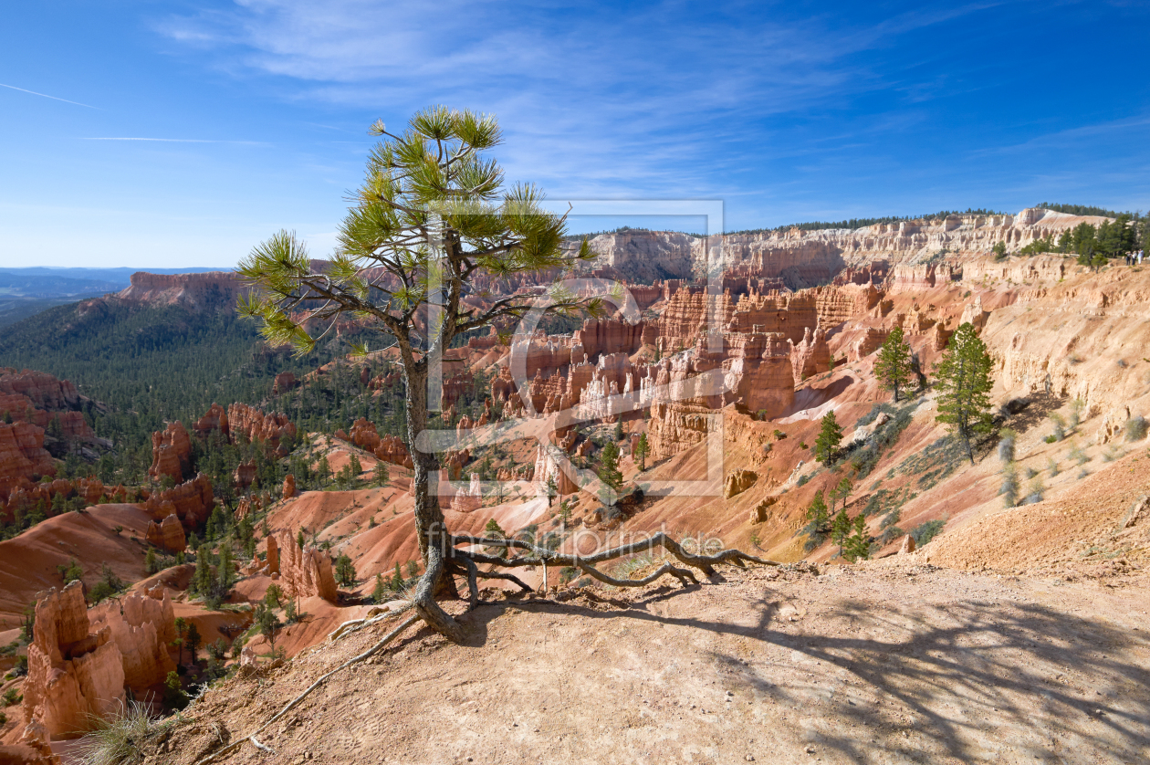 Bild-Nr.: 11272956 Bryce Canyon erstellt von Gerlinde Klust
