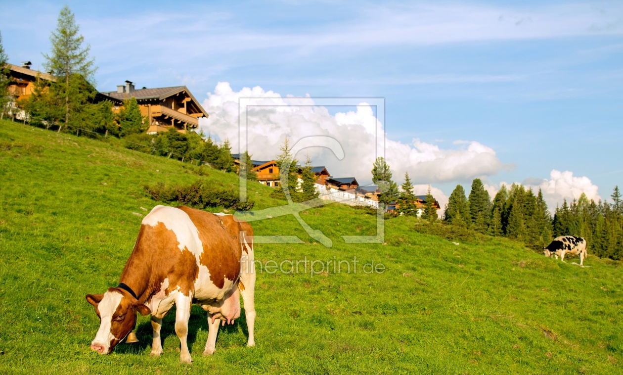 Bild-Nr.: 11272974 Salzburger Land erstellt von wompus