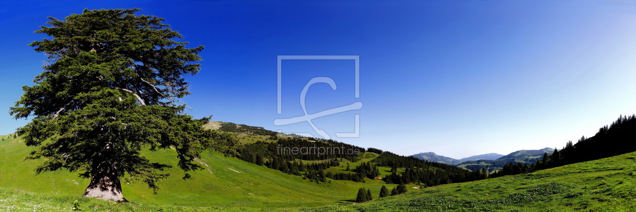 Bild-Nr.: 11276556 Tannheimer Tal erstellt von fotoping