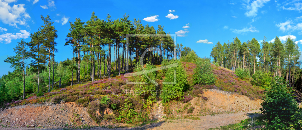 Bild-Nr.: 11286020 Panorama Heidelandschaft erstellt von manfredkoch