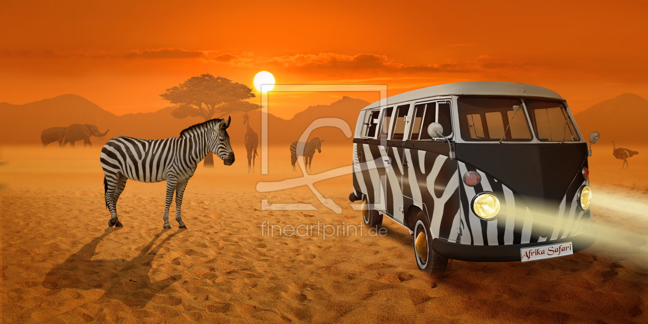 Bild-Nr.: 11289524 Streifenbegegnung Afrika Safari  erstellt von Mausopardia