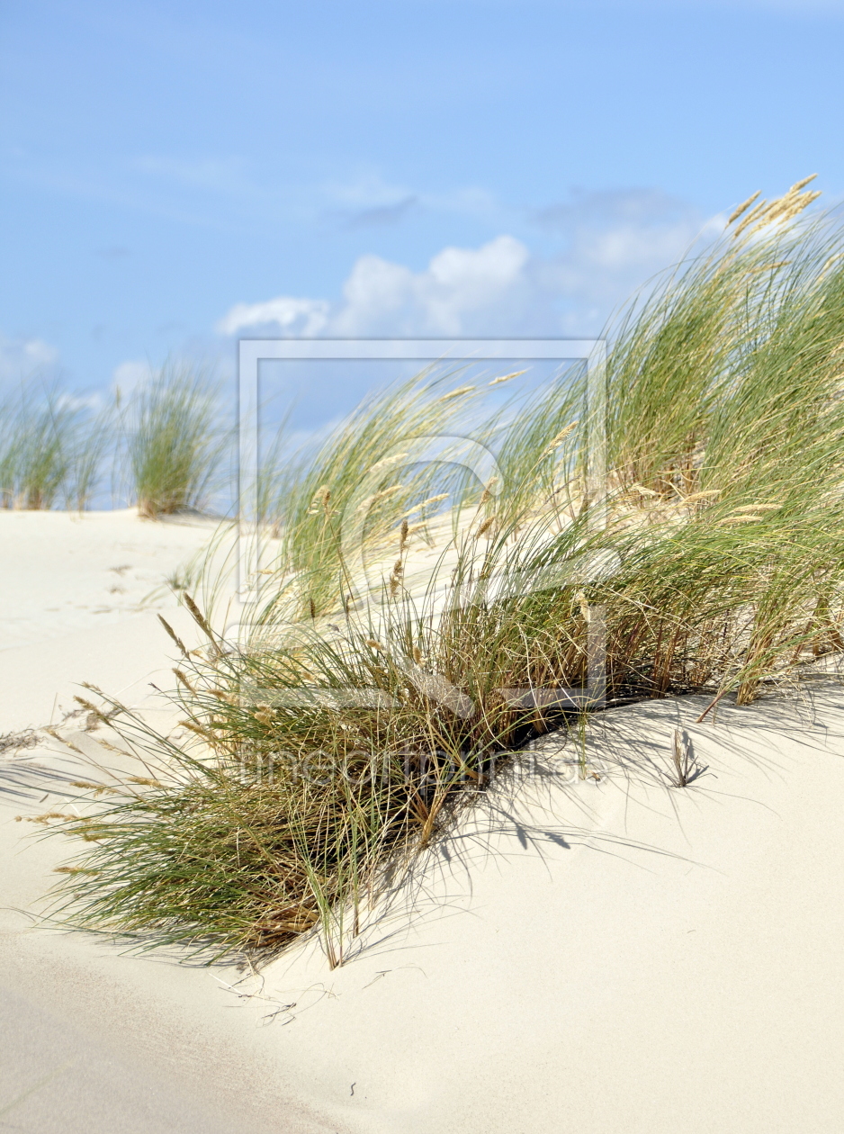 Bild-Nr.: 11292078 Dünen-Wind erstellt von GUGIGEI