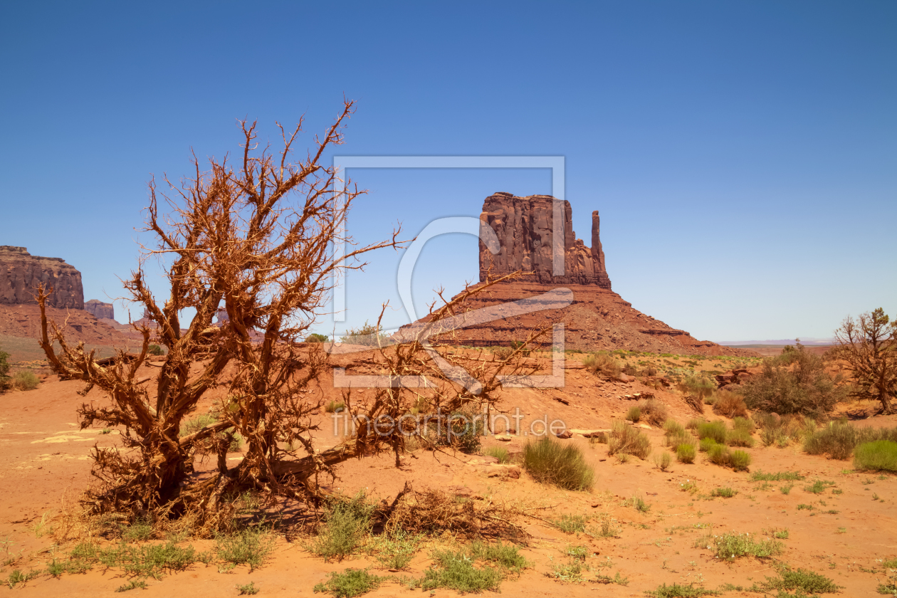 Bild-Nr.: 11294318 Monument Valley – Beautiful Landscape erstellt von Melanie Viola