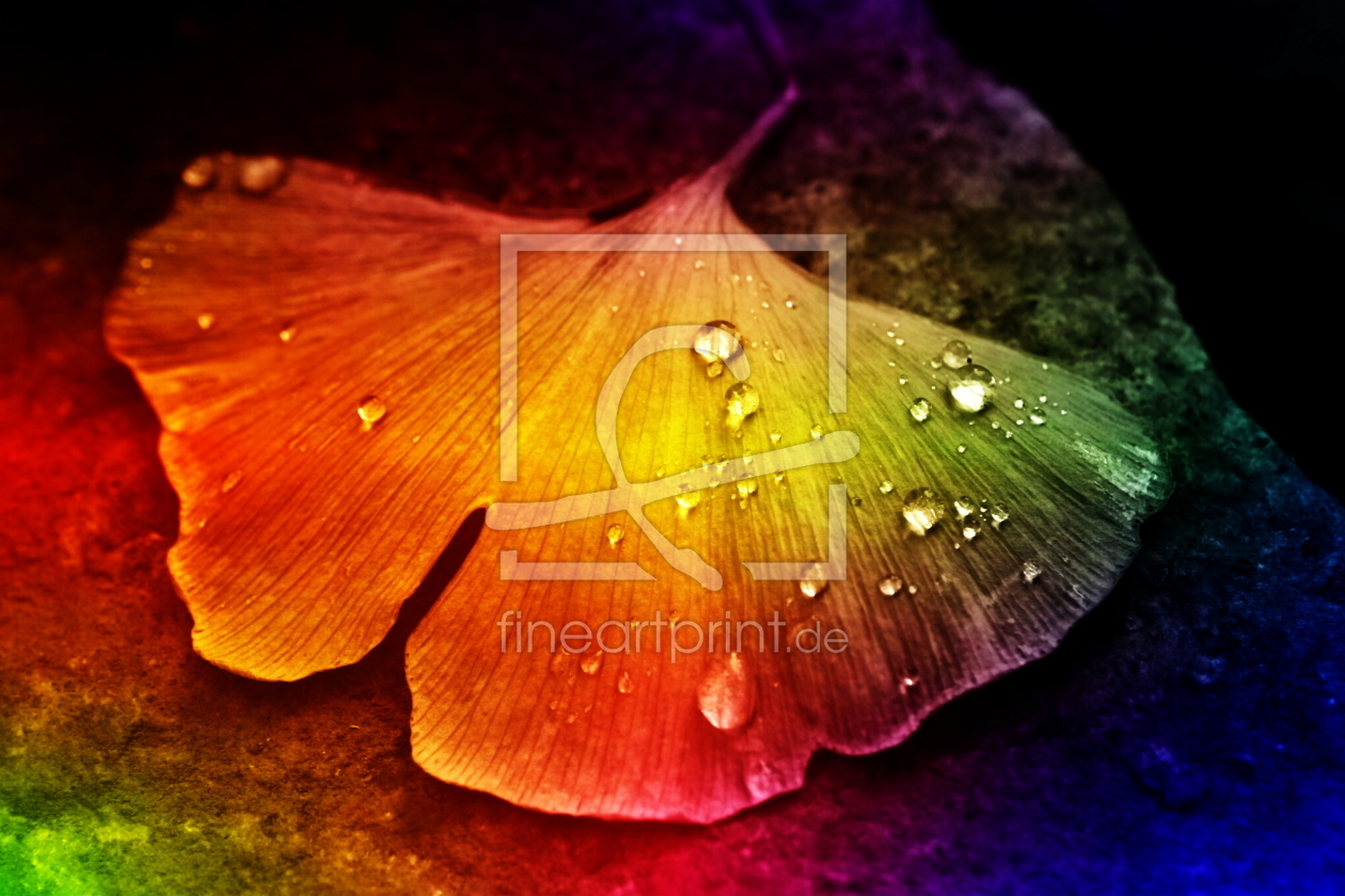 Bild-Nr.: 11299650 Gingko Blatt bunt erstellt von Christine Bässler