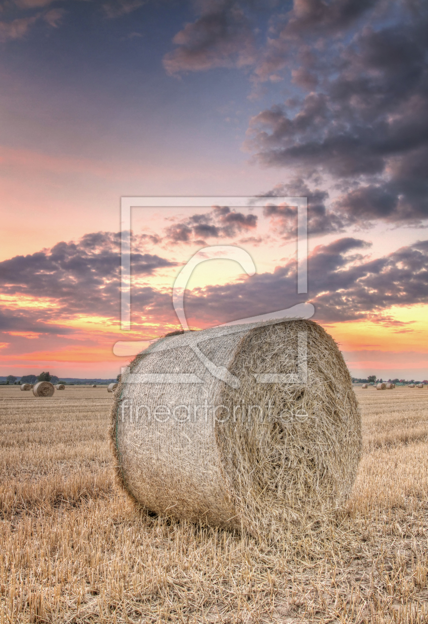 Bild-Nr.: 11300574 Strohballen II erstellt von PhotoArt-Hartmann