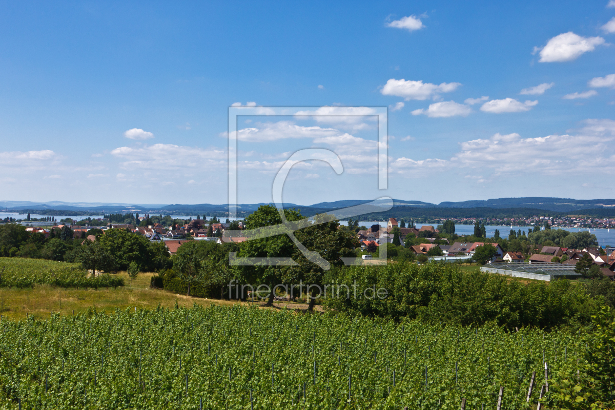 Bild-Nr.: 11301410 Landschaft am Bodensee auf der Insel Reichenau 2 erstellt von Anja Schäfer