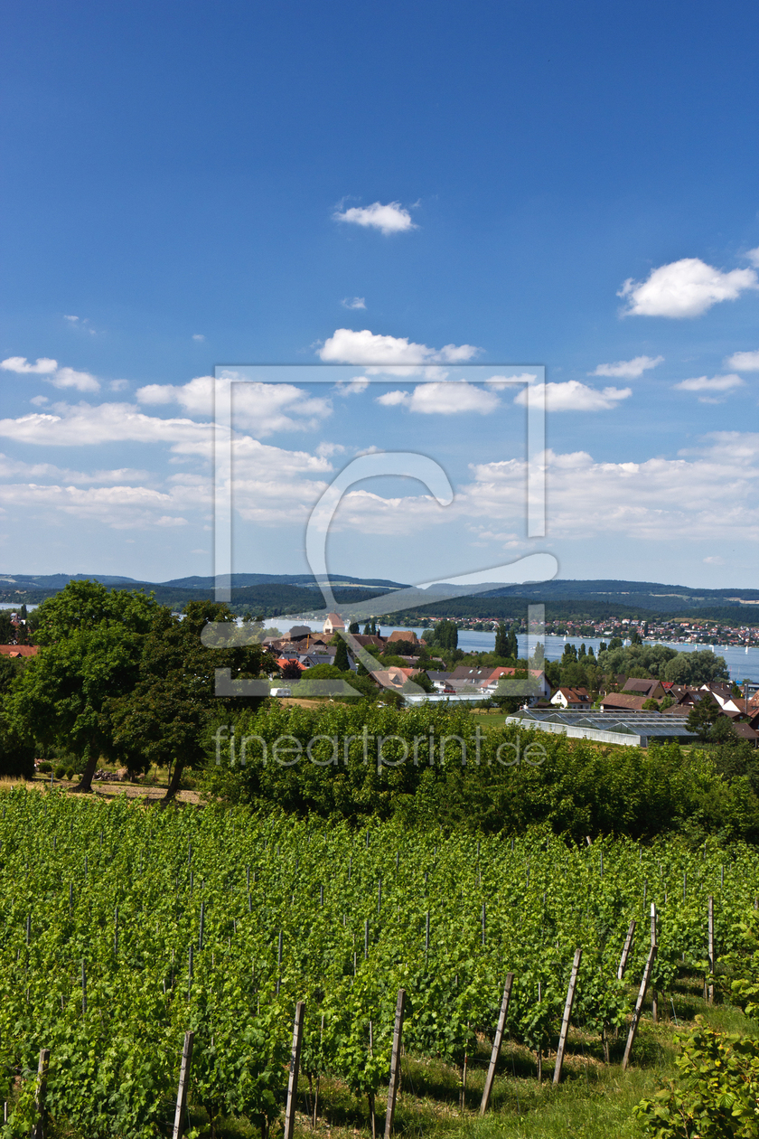Bild-Nr.: 11301414 Landschaft am Bodensee auf der Insel Reichenau 3 erstellt von Anja Schäfer