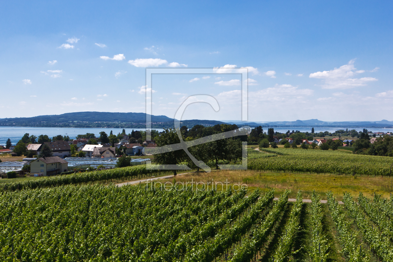 Bild-Nr.: 11301710 Landschaft am Bodensee auf der Insel Reichenau 4 erstellt von Anja Schäfer
