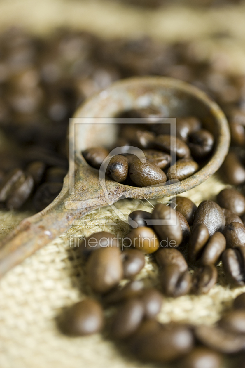 Bild-Nr.: 11302652 Alter Kaffeebohnenlöffel erstellt von KS-Fotografia-Moment