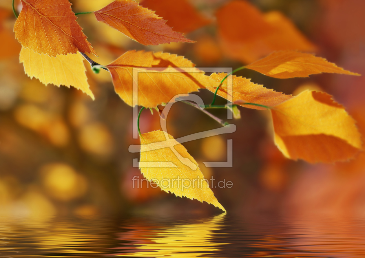 Bild-Nr.: 11303584 Herbstblätter erstellt von Atteloi