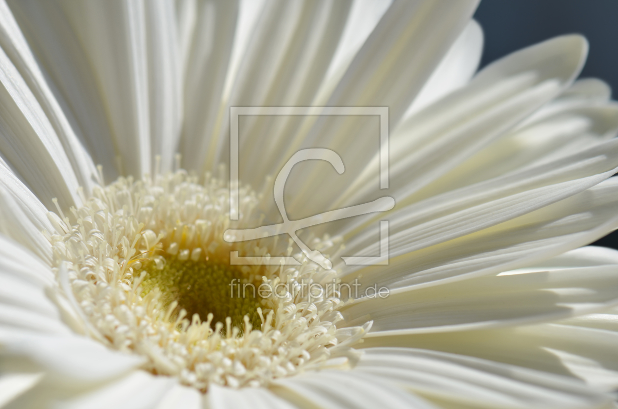 Bild-Nr.: 11305126 White erstellt von Atteloi