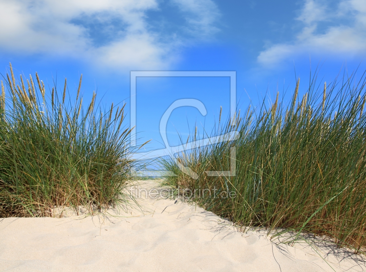 Bild-Nr.: 11310856 Dünen auf der Insel Rügen erstellt von Renate Knapp